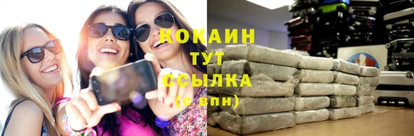 молекула духа Богородск