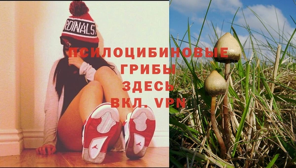 кокаин колумбия Богданович