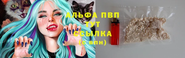 индика Алапаевск