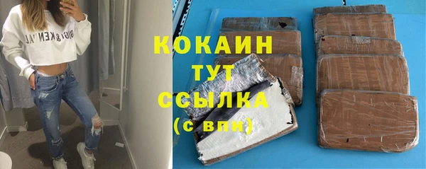 молекула духа Богородск